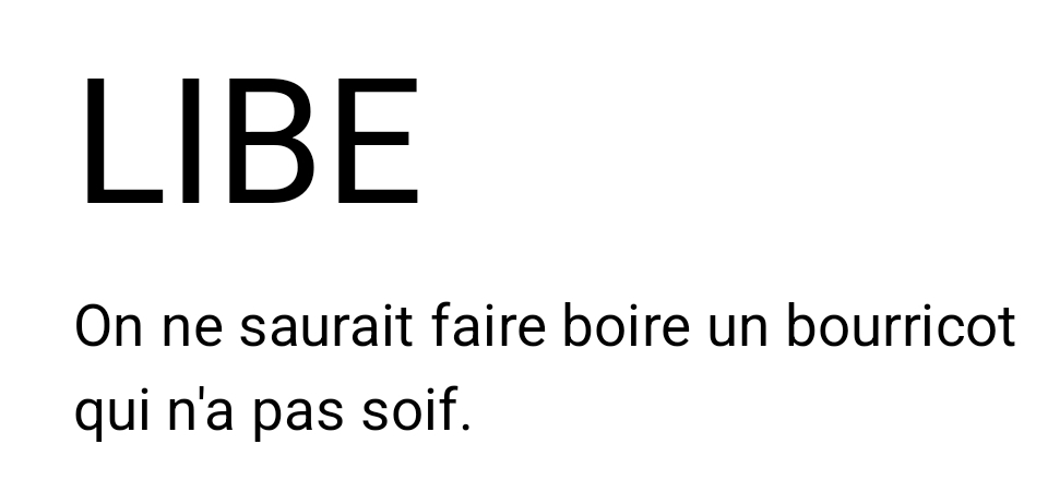 JOURNAL LIBE
